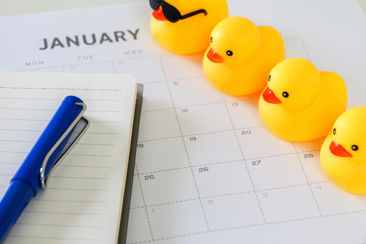 Calendar with Duck